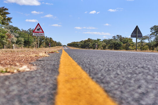 Surface level of warthog crossing sign by road against sky, Mpumalanga, South Africa