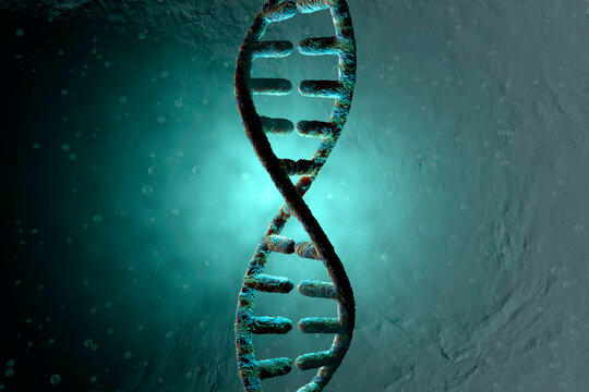 3D Rendered Illustration, visualization of a DNA double Helix which carry the genes of a biological organism