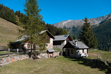 Obraz premium baita chalet maso trentino alpi Italia val di sole 