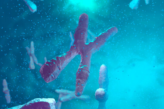 Chromosomes, 3D Rendering