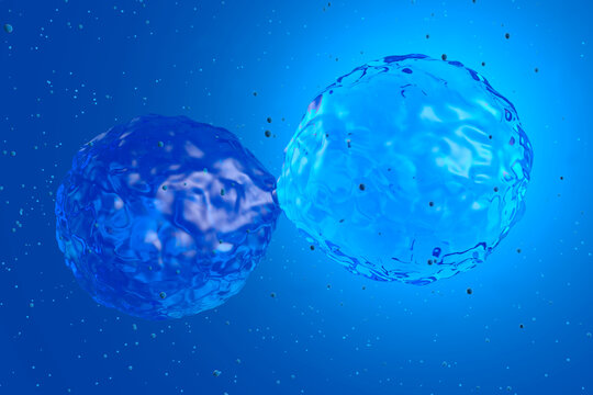 Three dimensional render of stem cell mitosis