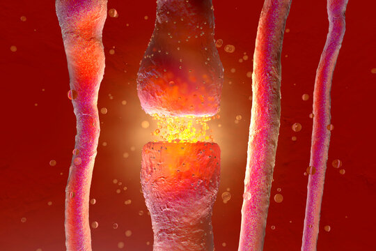 3D Rendered Illustration, visualisation of neurons firing neurotransmitters in the synaptic gap