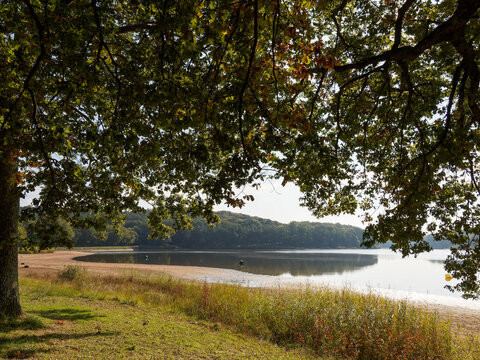 Paysages bucoliques de l'Allier. Etang de St-Bonnet de Tron&ccedil;ais bord&eacute; de for&ecirc;t de ch&ecirc;nes