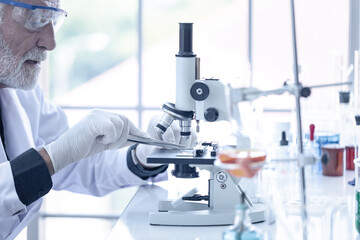 Senior scientist working with microscope in science laboratory, Searching for germs, viruses, disease, research and development, Scientific and medical