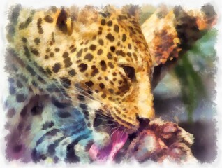 Fototapeta na wymiar leopard in different poses watercolor style illustration impressionist painting.