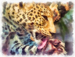 leopard in different poses watercolor style illustration impressionist painting.