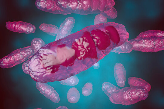 3D rendered Illustration, visualisation of an anatomically correct mitochondrion, an organelle