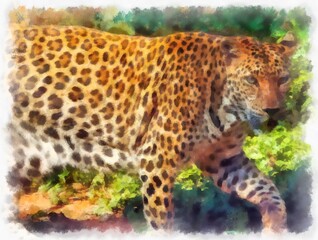 leopard in different poses watercolor style illustration impressionist painting.