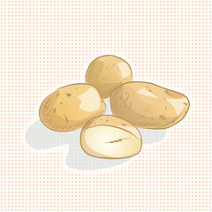 Vector illustration of potato on polka dot background