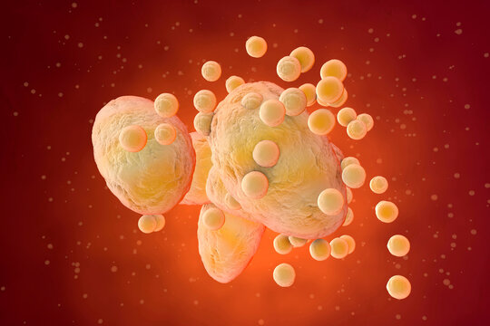 3D Rendered Illustration, visualisation of fat cells clogging together in the human body