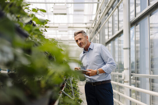 Male professional with digital tablet analyzing plants in greenhouse