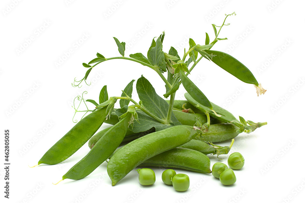 Sticker Fresh peas with bean on white