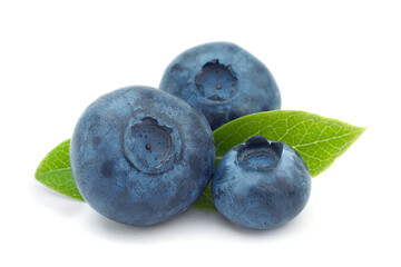 Obraz premium Blueberry closeup on white