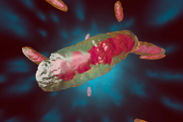 3D rendered Illustration, visualization of a anatomically correct Mitochondrion