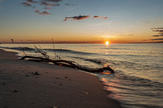 Germany, Mecklenburg-West Pomerania, Prerow, Driftwood lying on sandy coastal beach at sunset