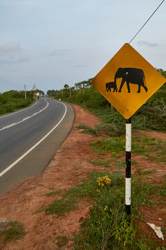 Sri Lanka, Elephant crossing sign in Yala National Park