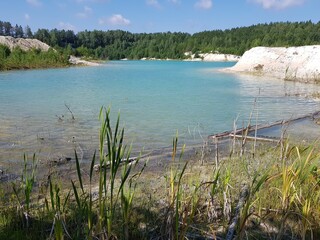 Trees grow on the banks of the turquoise lake