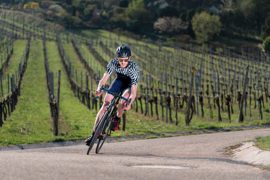 Germany, Baden-Wuerttemberg, Fellbach, man on racing cycle on country road through vineyards