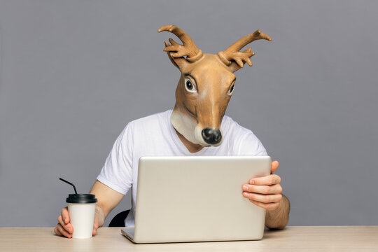 Man with deer mask using laptop,  drinking coffee to go cup