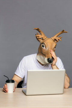 Man with deer mask using laptop,  drinking coffee to go cup
