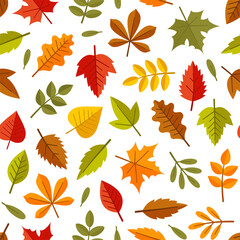 Autumn Leaves Seamless Pattern on White Background. Vector