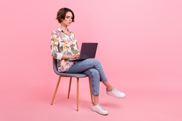 Full length body size photo business woman working on laptop isolated pastel pink color background