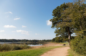 Etang de Saint-Bonnet -Tronçais. Circuit de randonnée autour des eaux calmes entourées de la forêt de la Sologne bourbonnaise en Allier