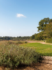 Etang de Saint-Bonnet -Tronçais. Circuit de randonnée autour des eaux calmes entourées de la forêt de la Sologne bourbonnaise en Allier