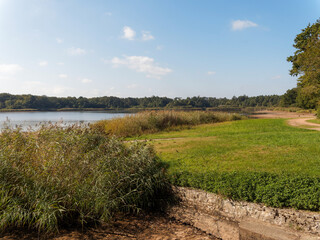 Etang de St-Bonnet de Tronçais au coeur de la forêt de Tronçais ou Sologne bourbonnaise dans l'...