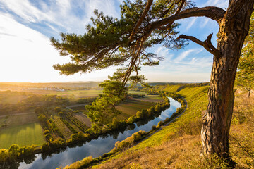 Germany, Baden-Wuerttemberg, Hessigheim, Neckar Valley, Neckar river, Neckarbecken,  Hessigheimer Felsengaerten Nature Reserve