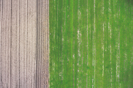 Germany, Bavaria, aerial view of field