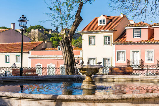 Pigeons perching at water fountain in Lisbon, Portugal