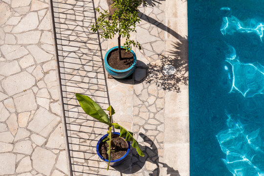 France, Alpes-Maritimes, Cagnes-sur-Mer, Potted Plants Standing At Edge Of Outdoor Swimming Pool