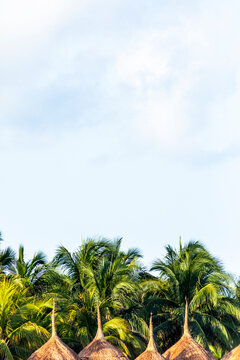 Palm trees, sunshades and sky with clouds at the beach, Holbox, Yucatan, Mexico