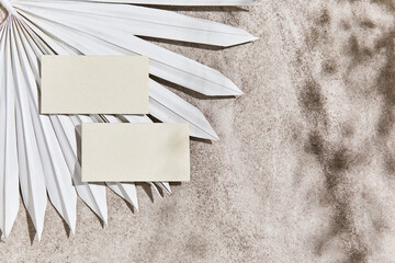 Flat lay of minimalistic composition with mock up visit cards, rock, natural materials, dry plants...