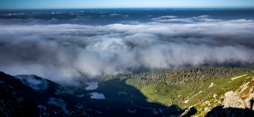 Fog in the mountain forest in the Karkonosze National Park