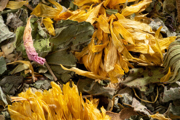 Detailed and large close up shot of herbal tea.
