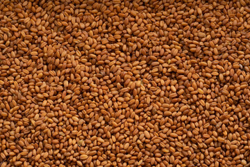 Detailed and large close up shot of flaxseeds.