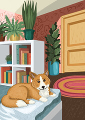 Digital illustration of a home interior with a corgi on the bed. Bright illustration with a dog, house plants in pots, books, carpet. Print for postcards, posters, covers.