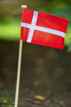 Denmark, Aarhus, Danish flag in front yard