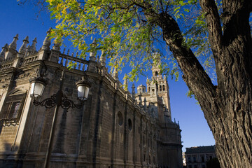 Plaza del Triunfo, Sevilla, Andalusia, Spain: the cathedral (Catedral de Santa María de la Sede) and the famous Giralda tower