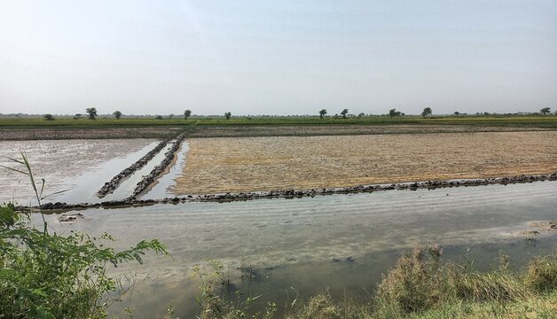 system in a field