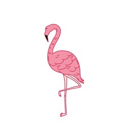 Pink flamingo. Flamingo stands on  its foot. illustration of a flamingo.