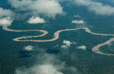 Bird's eye view of New Guinea jungle. Beautiful shape of the river that flows through the jungle. New Guinea. Indonesia.