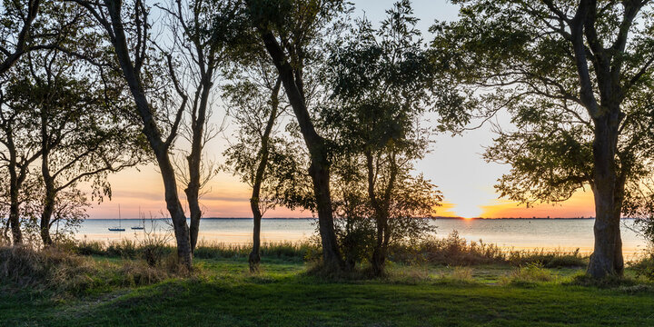 Germany, Mecklenburg-West Pomerania, Baltic Sea, Ruegen Island, Schaprode, Schaproder Bodden,Trees and sea at sunset