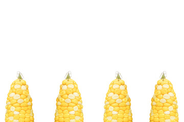 Corn with space for text on isolated white background