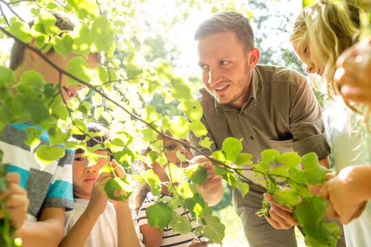 School children examinig leaves on tree with their teacher