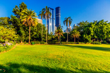 Australia, Brisbane, City Botanic Gardens and skyscrapers