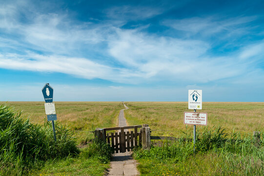 Germany, Schleswig-Holstein, Sankt Peter-Ording, view from dike to salt marsh