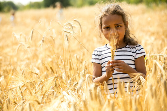 Little girl standing in wheat field, looking at wheat ear